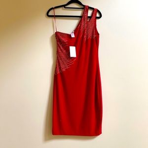 Beautiful one shoulder dress from Cache.  This dress is great for any event!